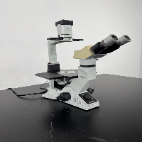 Olympus CKX41 Inverted Microscope image 0